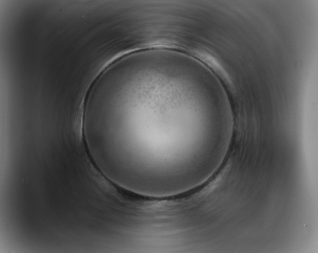 X0000090431228200707131155
