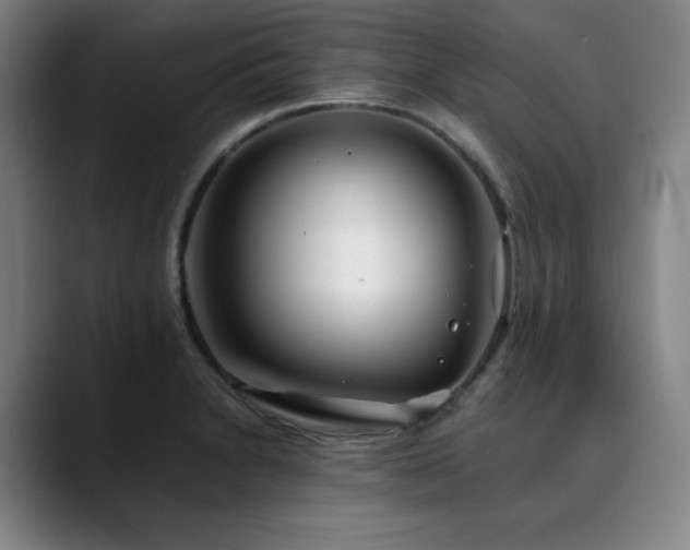 X0000090431230200707131155