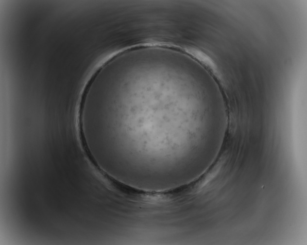 X0000090431231200707131155