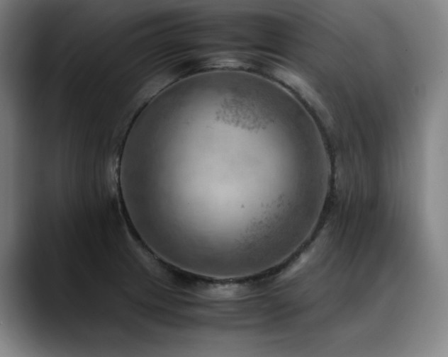 X0000090431233200707131155
