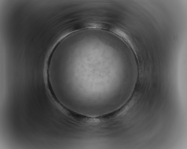 X0000090431235200707131155