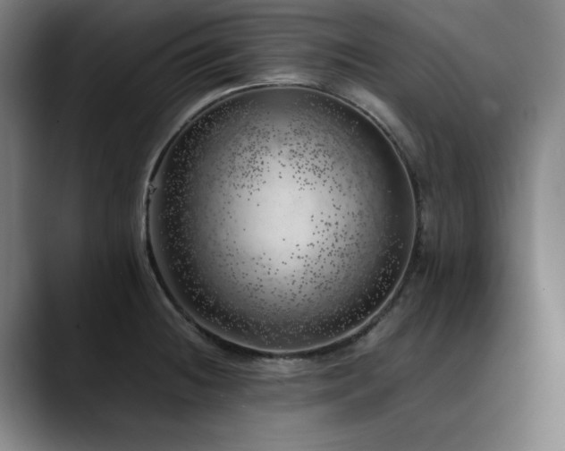 X0000090431236200707131155