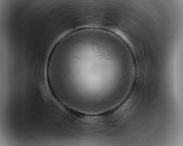 X0000090431237200707131155
