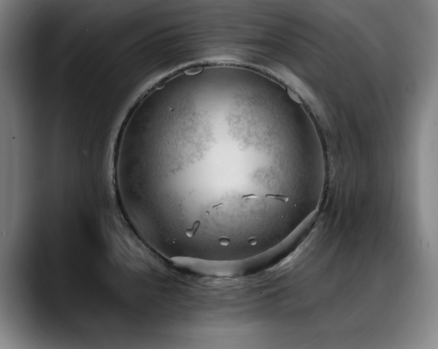 X0000090431240200707131155