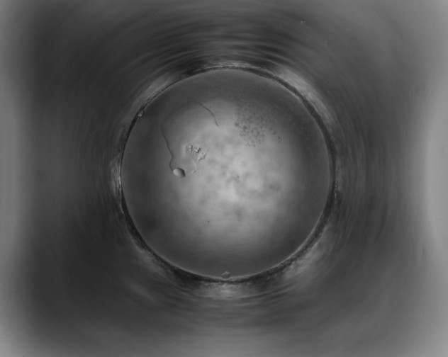 X0000090431241200707131155