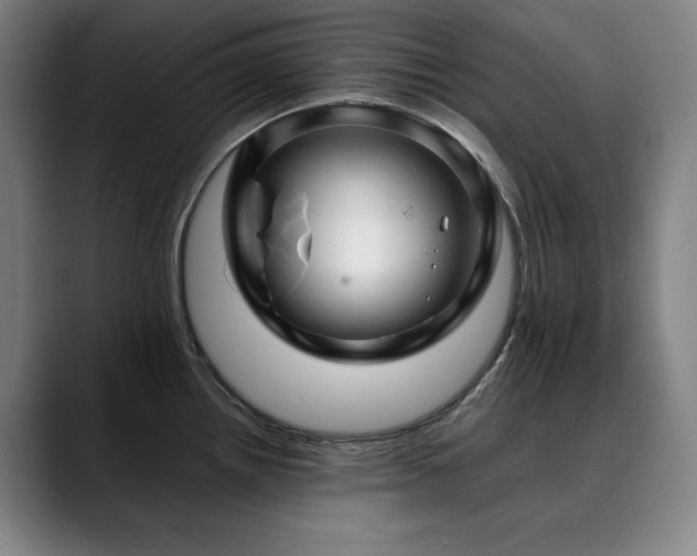 X0000090431242200707131155