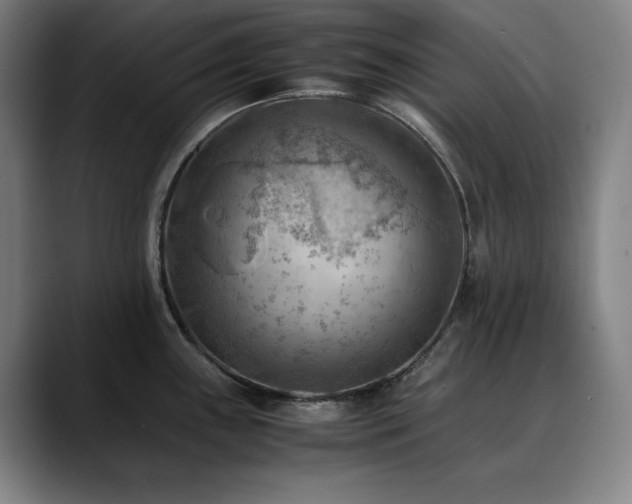 X0000090431243200707131155