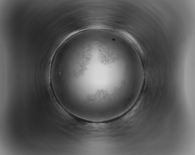 X0000090431244200707131155