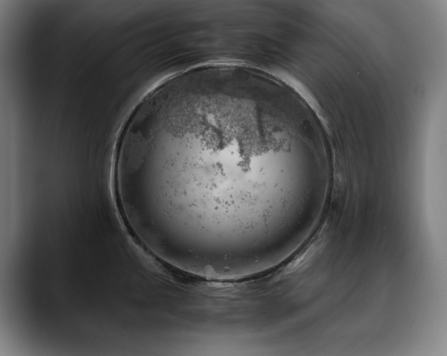 X0000090431245200707131155