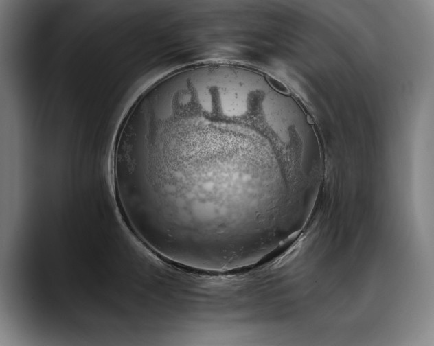 X0000090431247200707131155