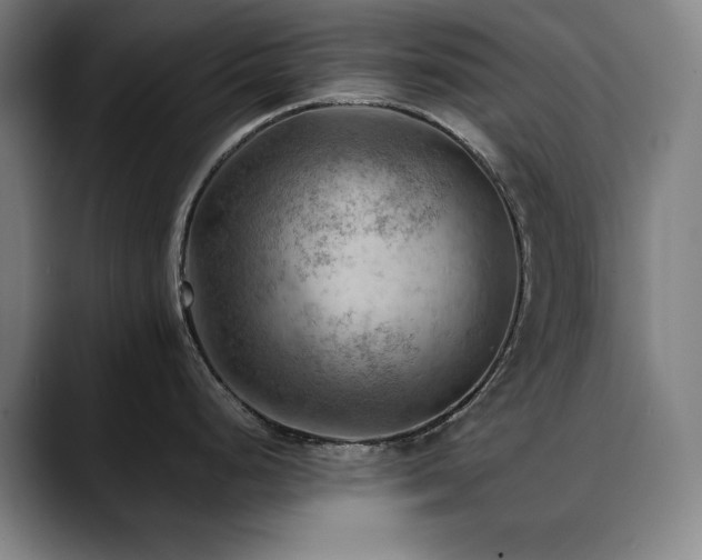 X0000090431248200707131155