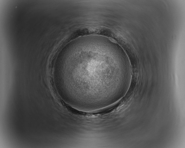 X0000090431249200707131155