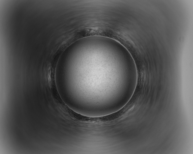 X0000090431250200707131155