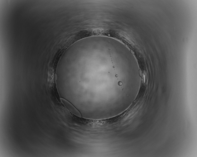 X0000090431251200707131155