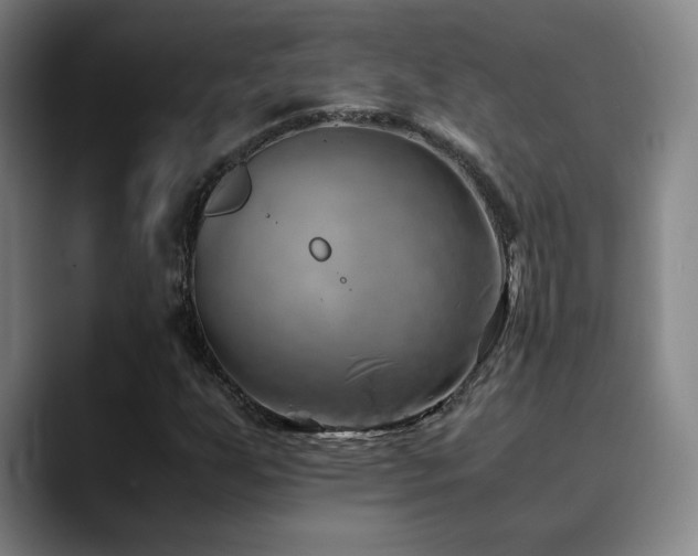 X0000090431255200707131155