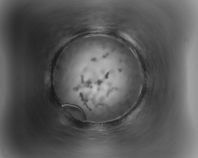 X0000090431259200707131155