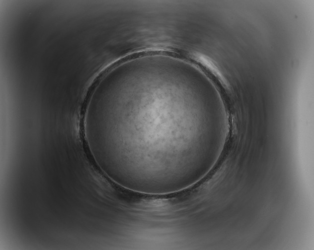 X0000090431260200707131155