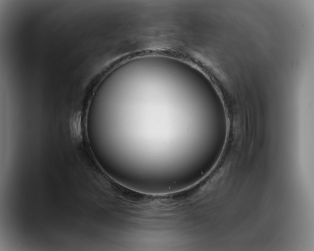 X0000090431262200707131155