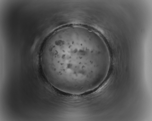X0000090431263200707131155
