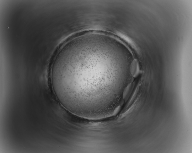 X0000090431264200707131155