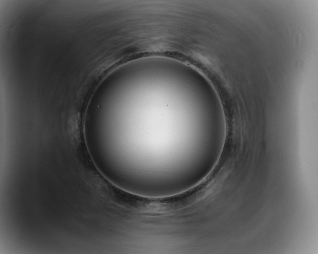 X0000090431265200707131155