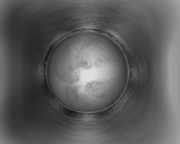 X0000090431266200707131155