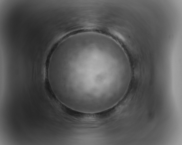 X0000090431267200707131155