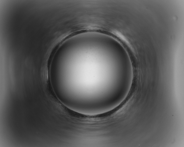 X0000090431269200707131155