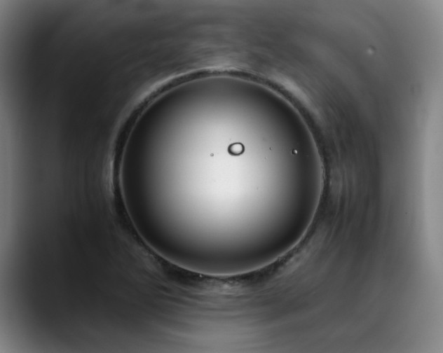 X0000090431270200707131155