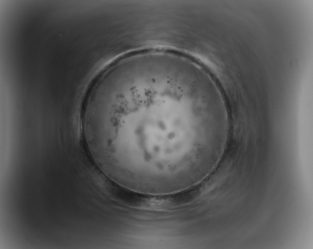X0000090431271200707131155