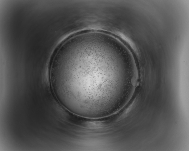 X0000090431272200707131155