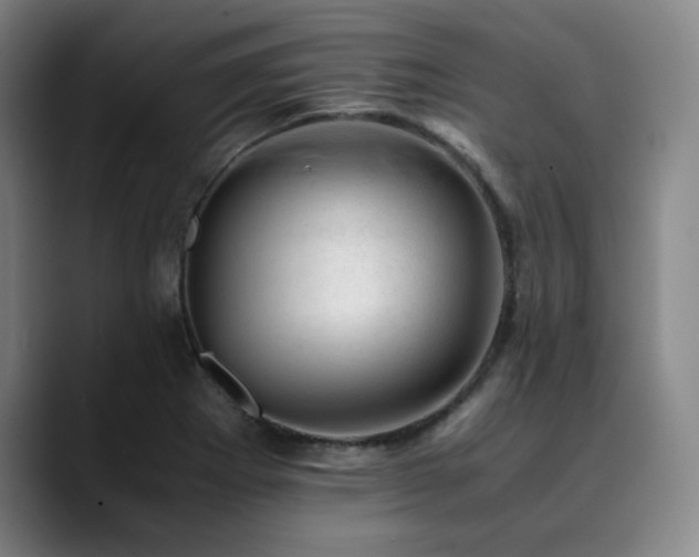X0000090431273200707131155