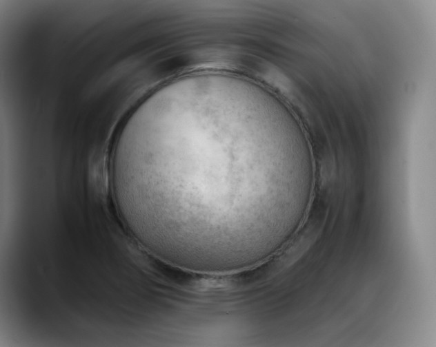 X0000090431274200707131155