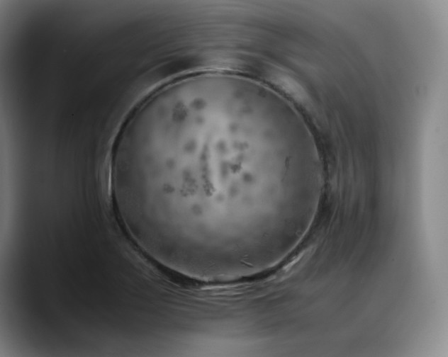 X0000090431275200707131155