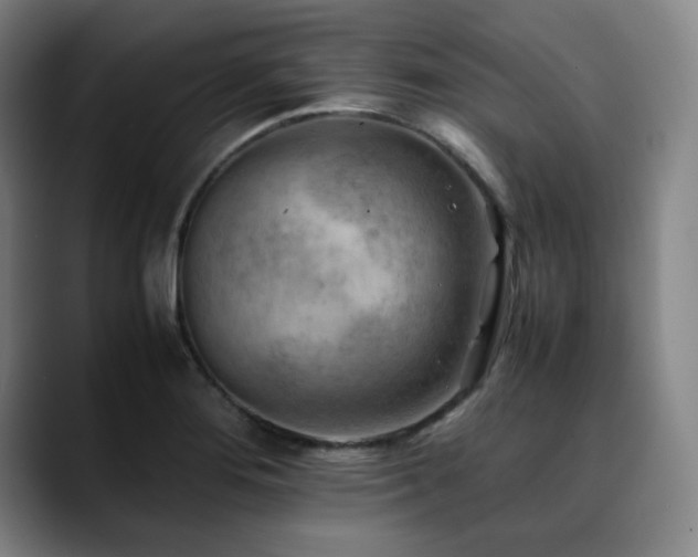 X0000090431276200707131155