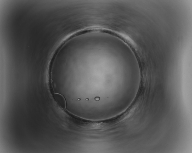 X0000090431279200707131155