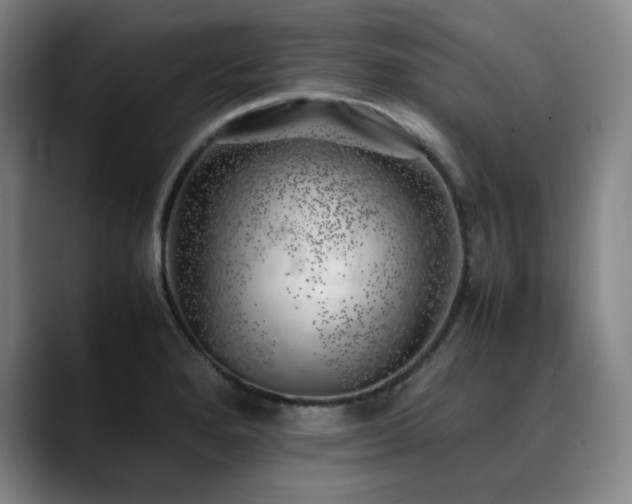 X0000090431280200707131154