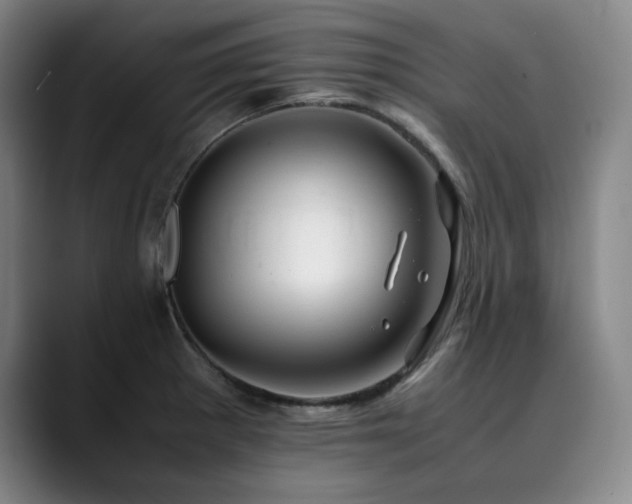 X0000090431281200707131154