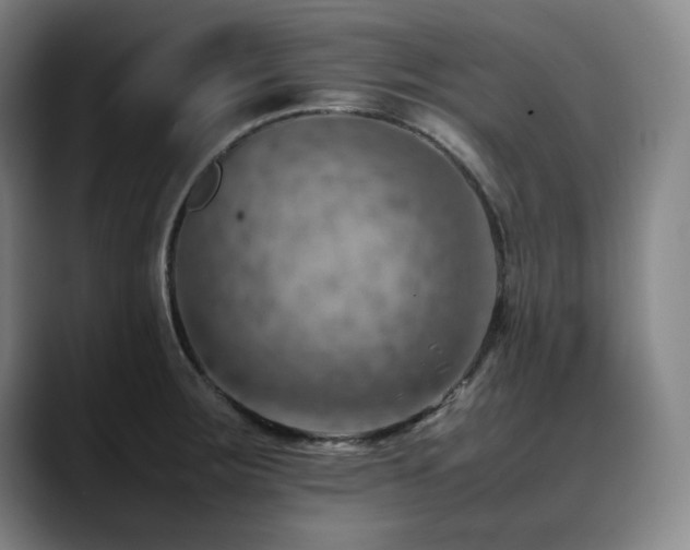 X0000090431283200707131154