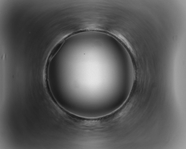 X0000090431285200707131154