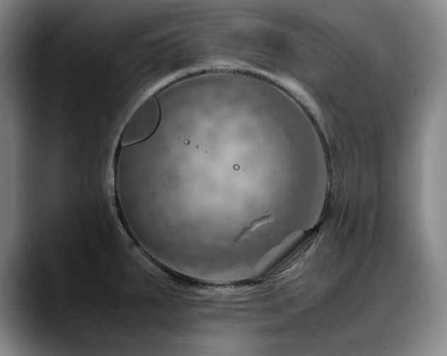 X0000090431287200707131154
