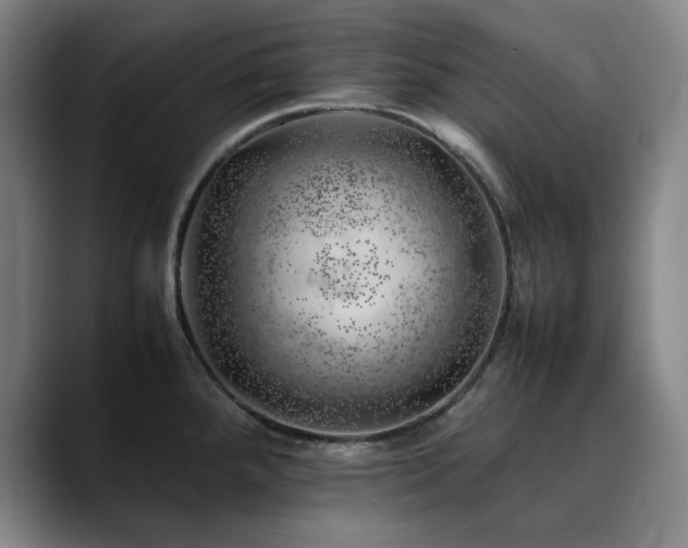 X0000090431288200707131154