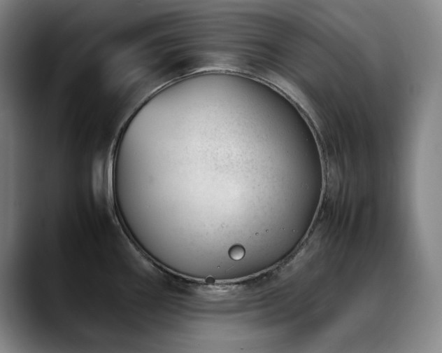 X0000090431290200707131154