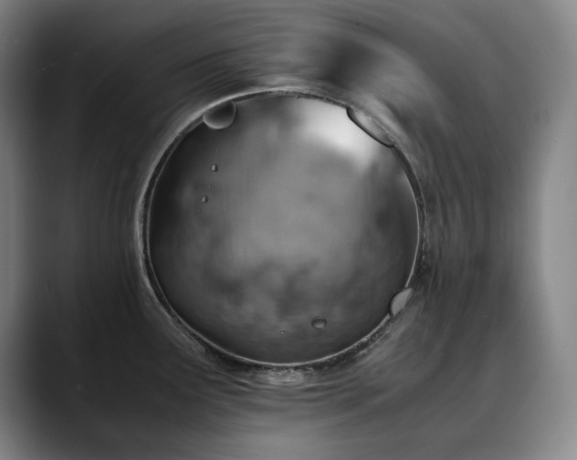 X0000090431291200707131154