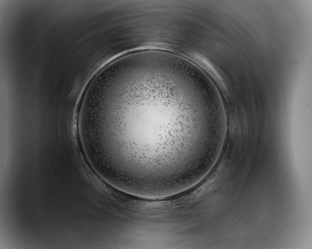 X0000090431292200707131154