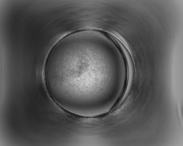 X0000090431293200707131154