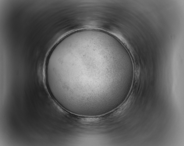 X0000090431294200707131154