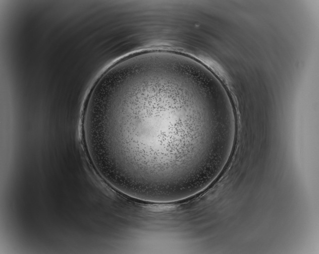 X0000090431296200707131154