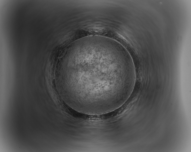 X0000090431297200707131154