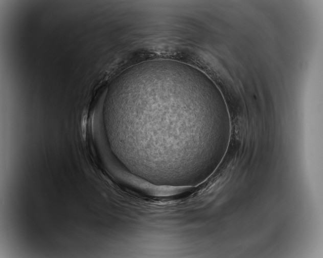X0000090431298200707131154